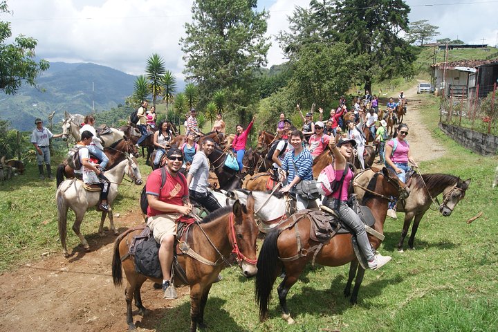 Excursión de café con equitación en Medellín