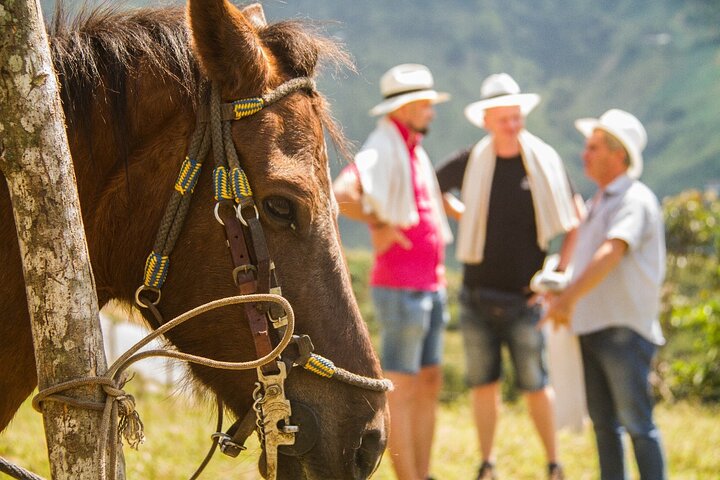Excursión de café con equitación en Medellín