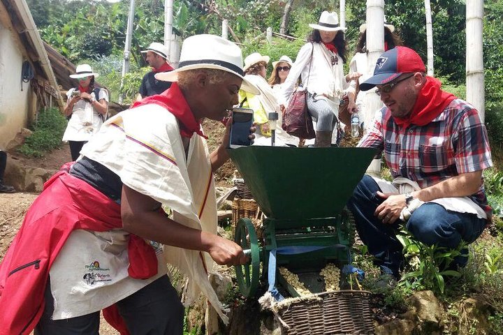 Excursión de café con equitación en Medellín