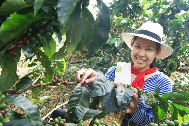 Excursión de café con equitación en Medellín