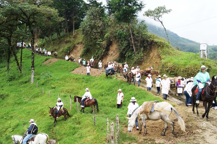 Excursión de café con equitación en Medellín