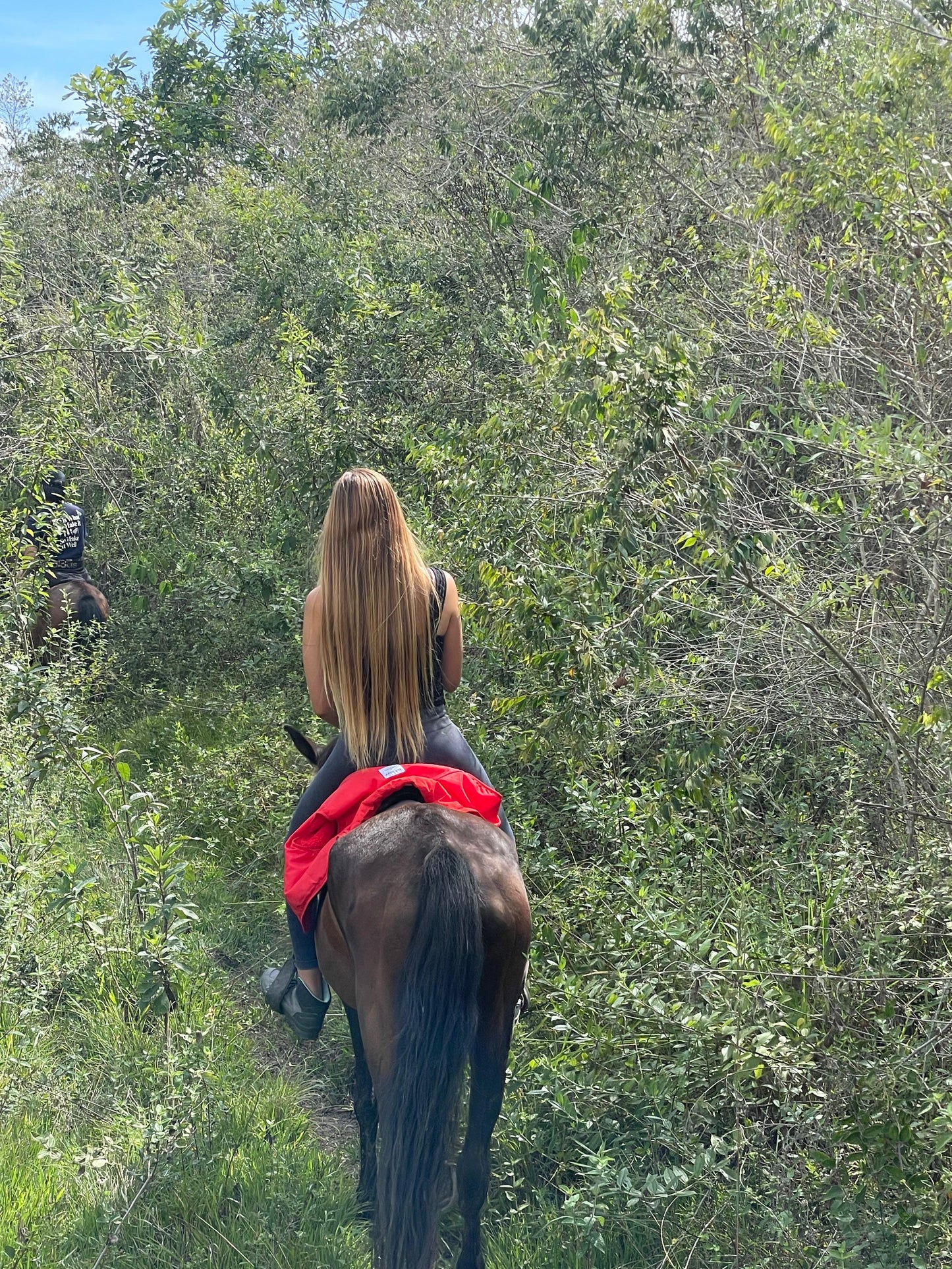 Tours Paseo a Caballo por la Montaña