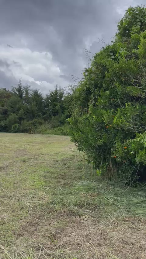 Lote  T2 - Para la Venta